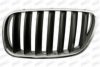 BMW 51113420087 Radiator Grille